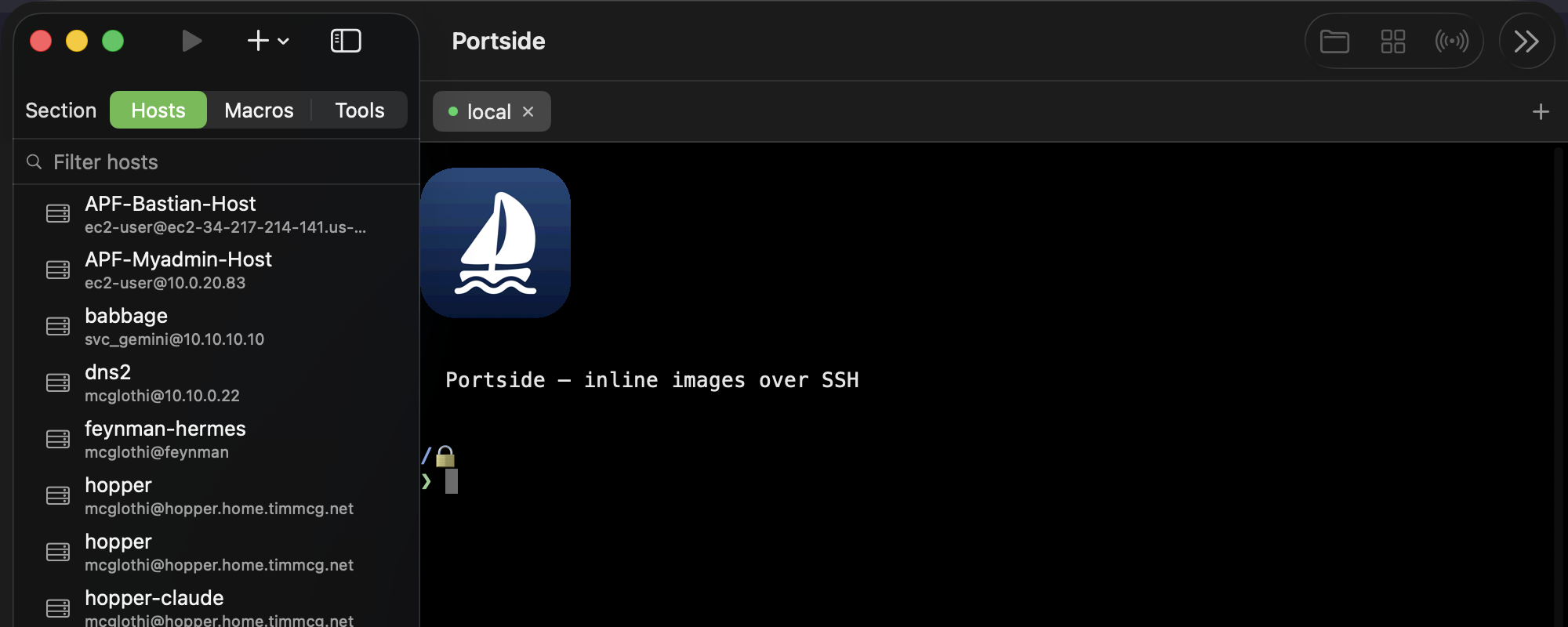 The Portside logo rendered as a Sixel image inside a terminal tab